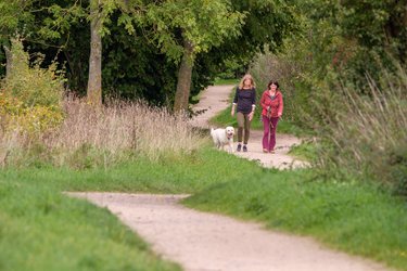 Two people and a dog walk on the Garden City Greenway.